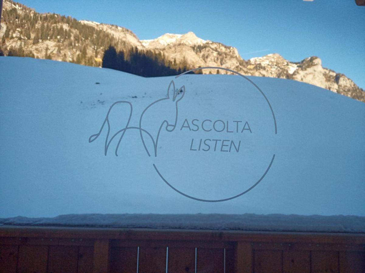 Maison Boutique Fior D'Alpe Sappada Esterno foto